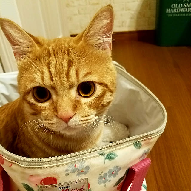 C.Tさんの実例写真