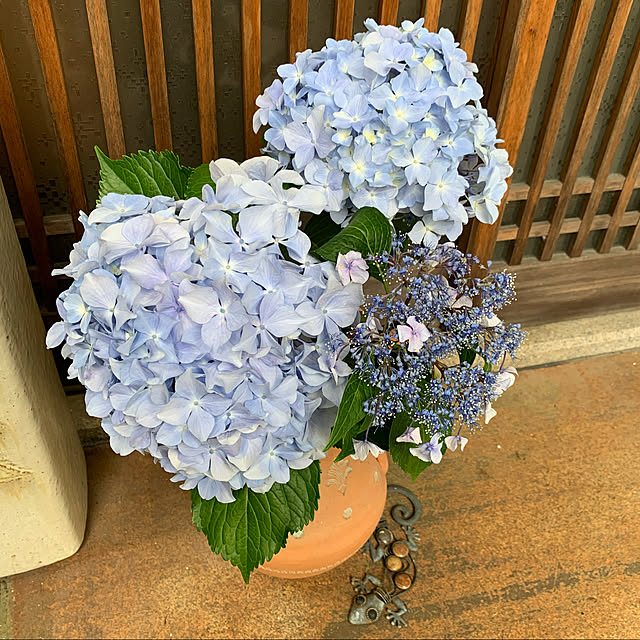 Azukiさんの実例写真