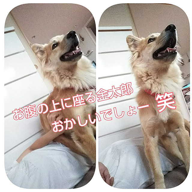 kaoriさんの実例写真