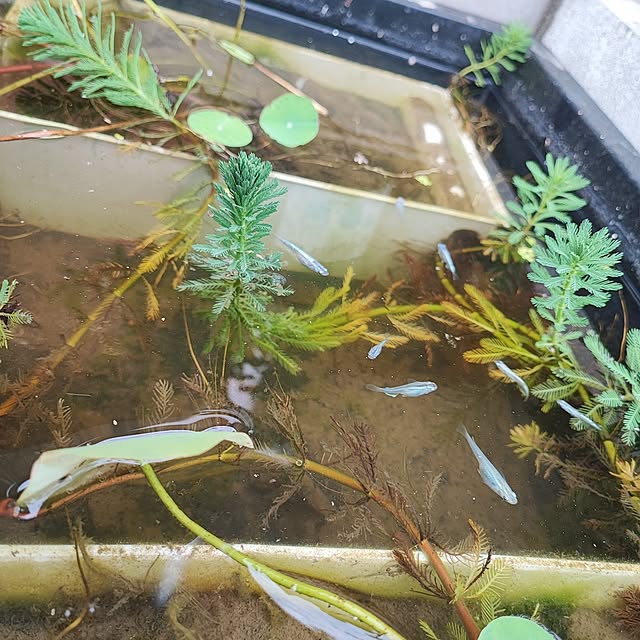 miharunさんの部屋