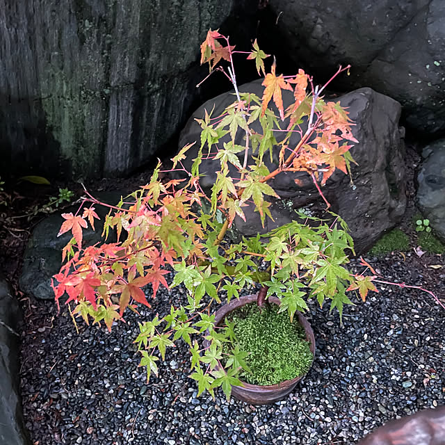 shin0719さんの部屋