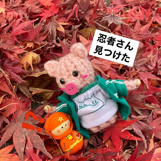 manduonmaさんの実例写真
