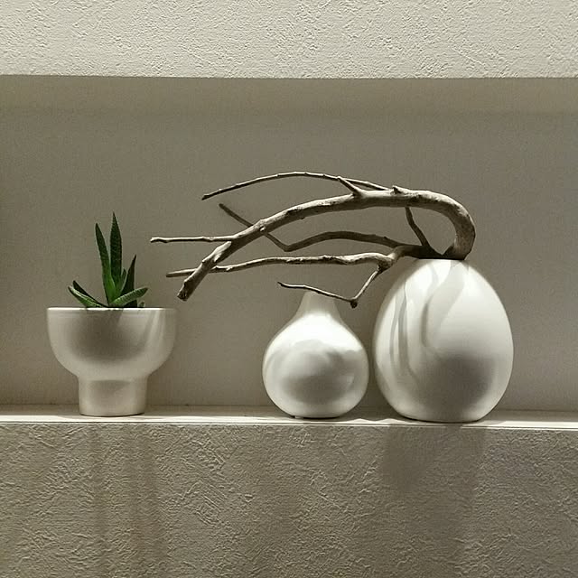 chieさんの実例写真