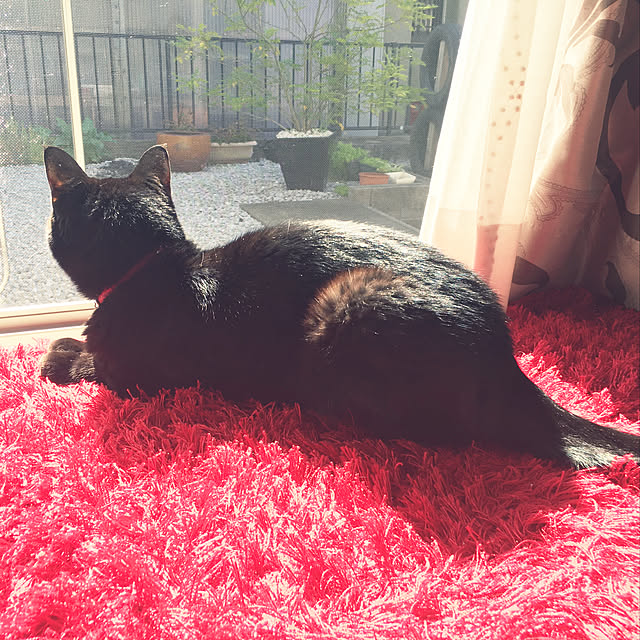 ALPSさんの実例写真