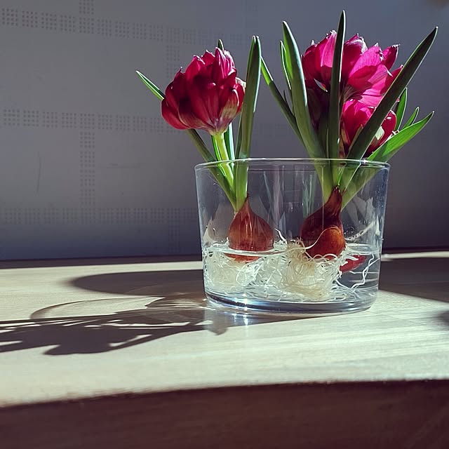 t.yumiさんの部屋