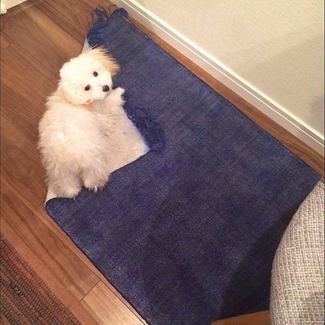 kazuminhaさんの実例写真