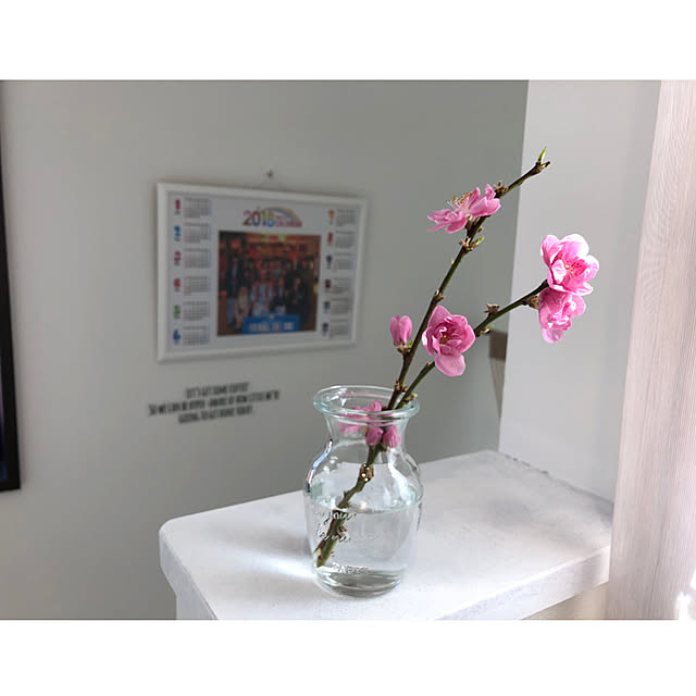 a..yaさんの実例写真