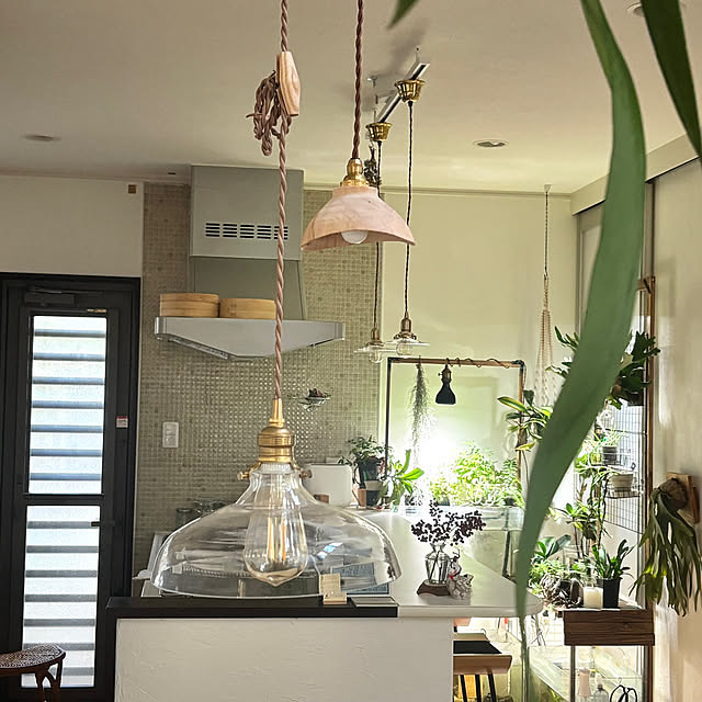 greycatsさんの実例写真