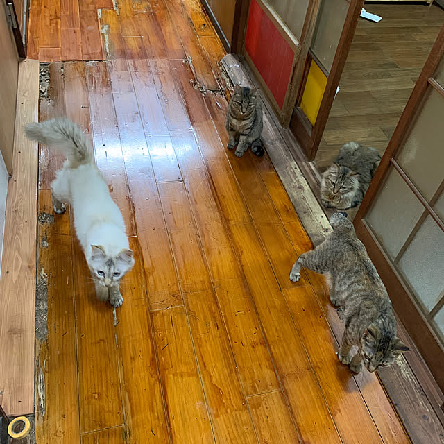 bananaさんの実例写真