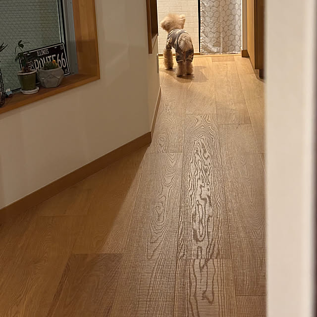 reiさんの実例写真