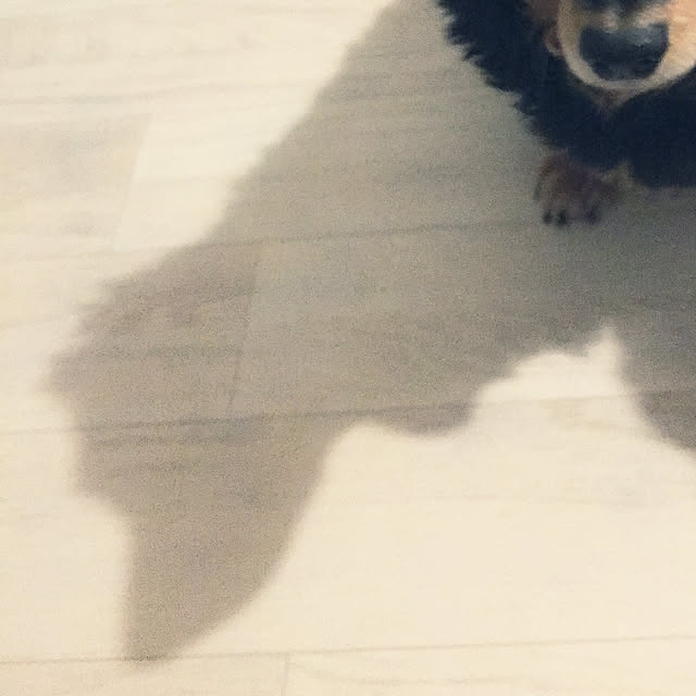 ohanaさんの実例写真
