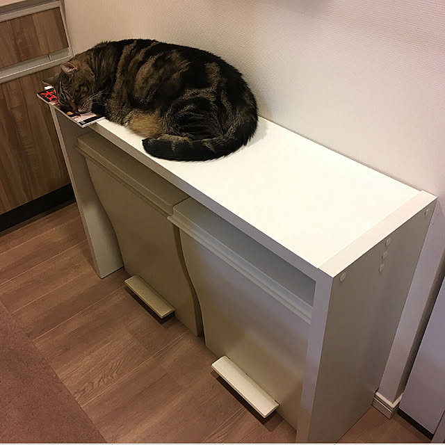 mikomaruさんの実例写真