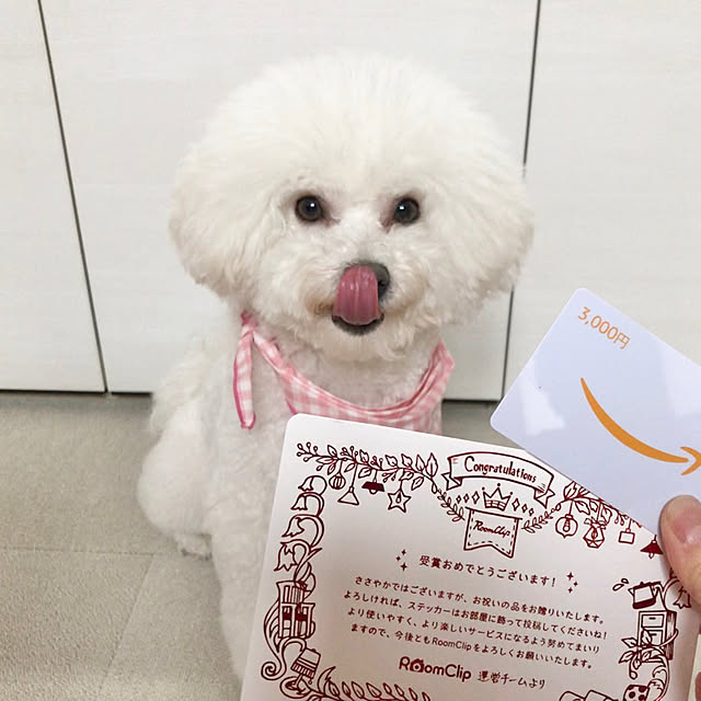 hotaboさんの実例写真