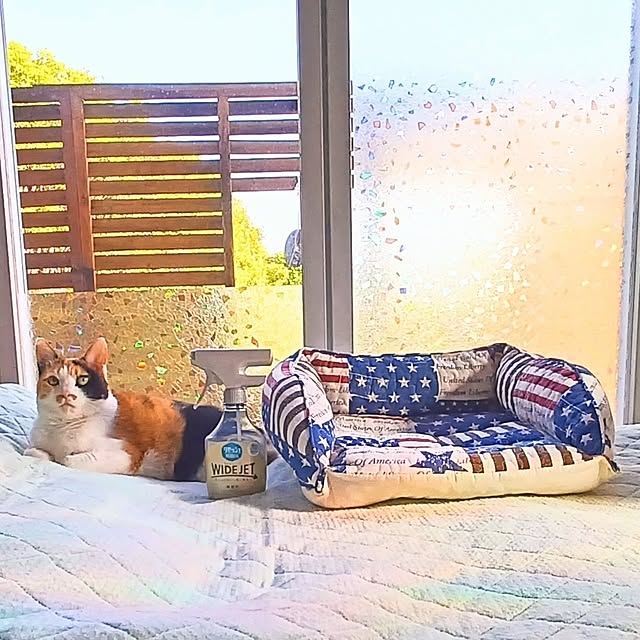 nanaさんの実例写真