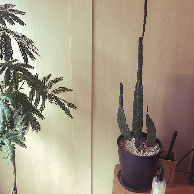 okkunさんの実例写真