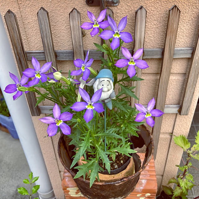 takakoさんの部屋