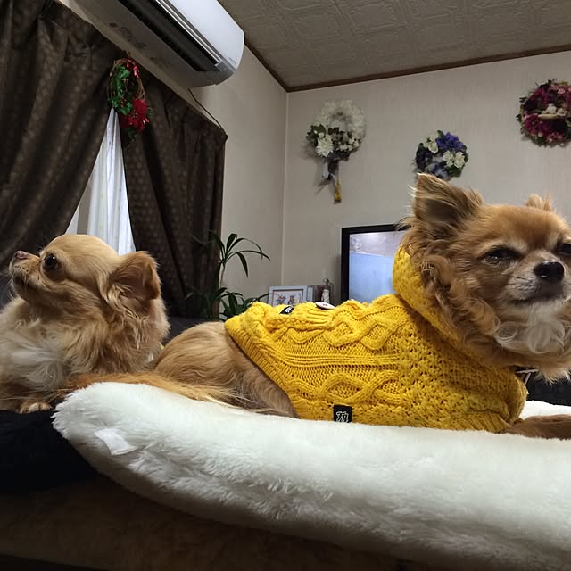 Nobuさんの実例写真