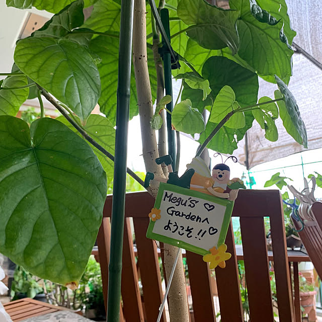 Aqettyさんの部屋