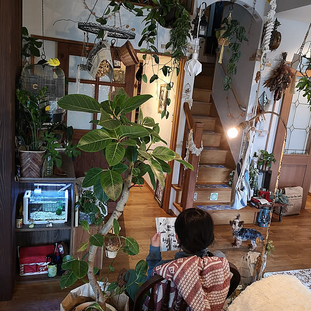 akiさんの実例写真