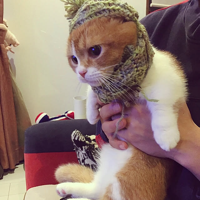 KotarouKunさんの実例写真