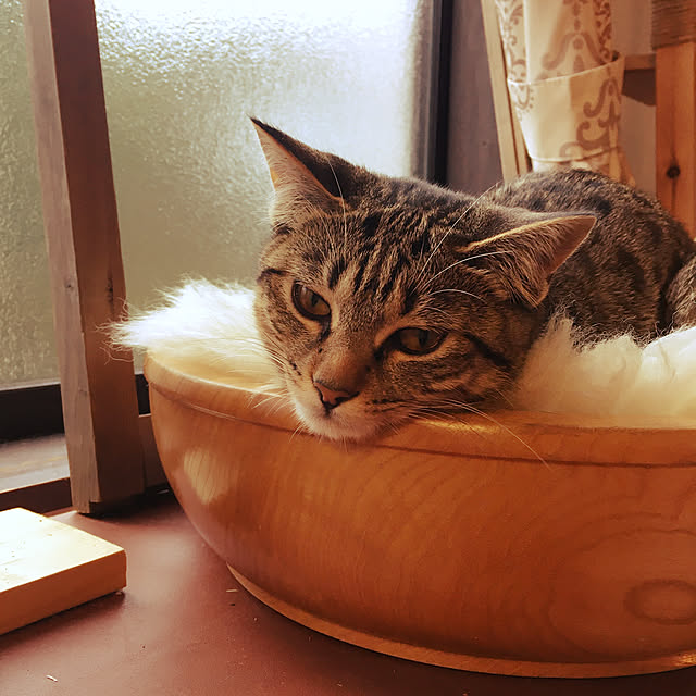 Mさんの実例写真
