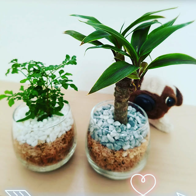 mikoさんの実例写真