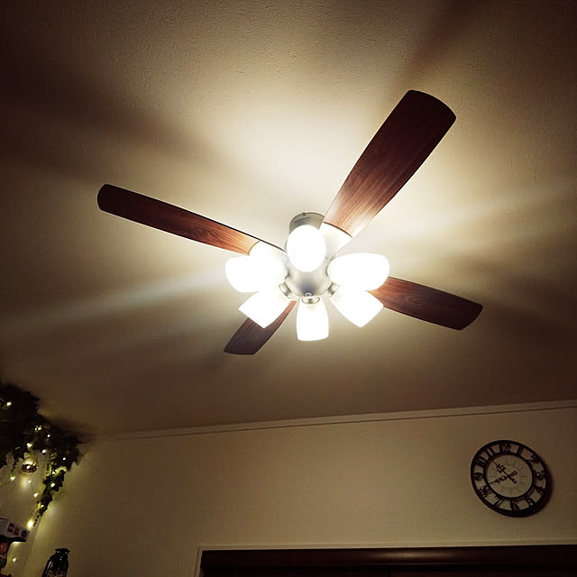 DAIKO/大光電機 【薄型】【軽量】【LED】シーリングファンライト DAIKO/大光電機 【薄型】【軽量】【LED】シーリングファンライト