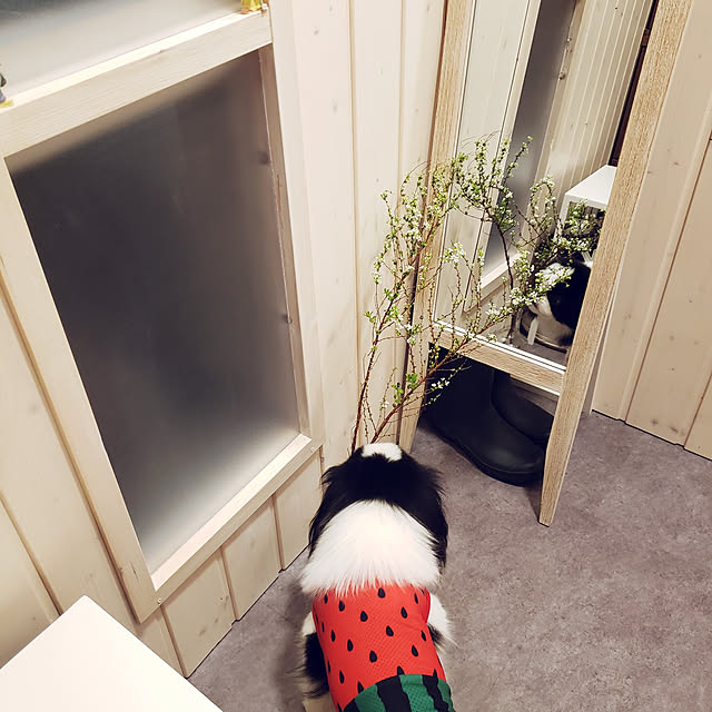 sanoaさんの実例写真