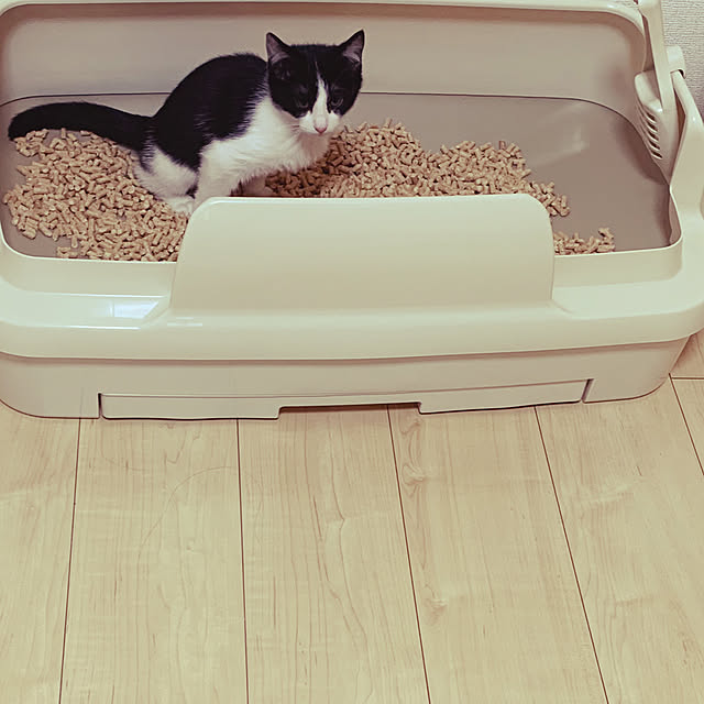 kkkさんの部屋