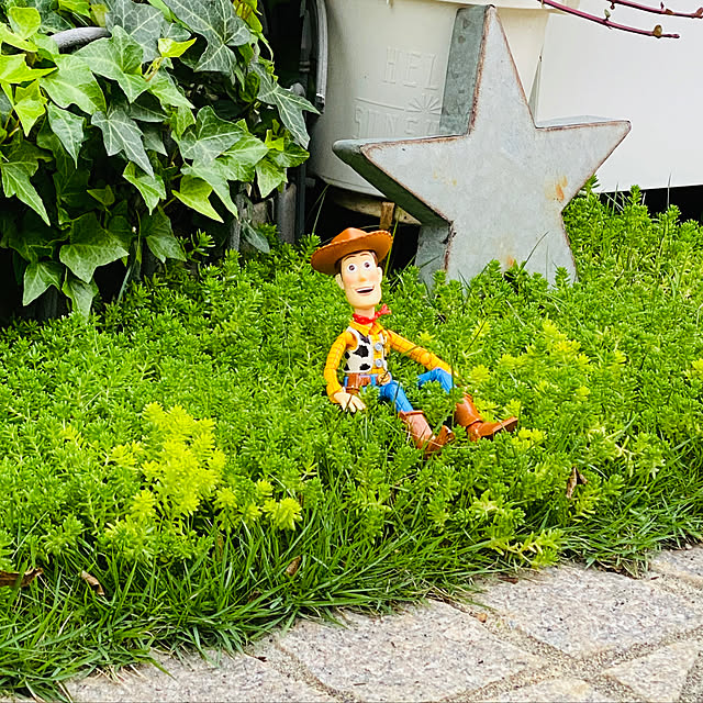 kurumeruさんの実例写真
