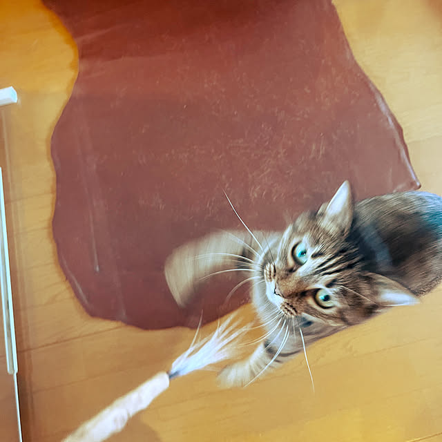 Mさんの部屋