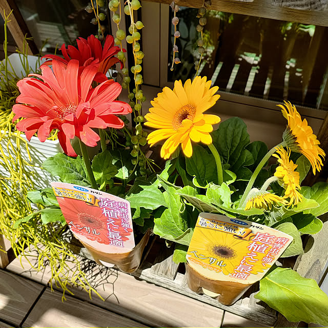 VERANDARJUNさんの実例写真