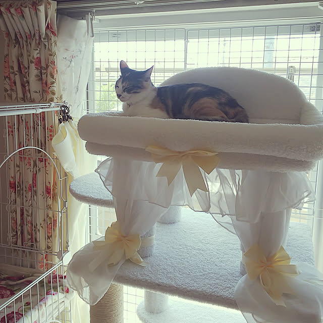 MOSさんの実例写真