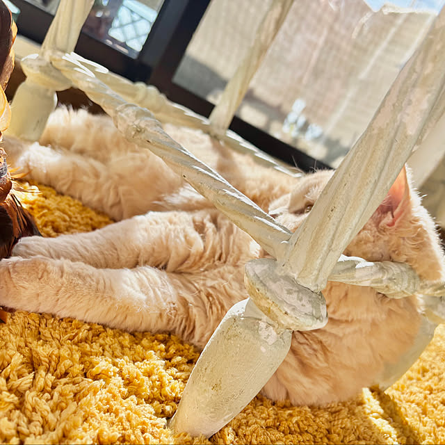 naokoさんの部屋