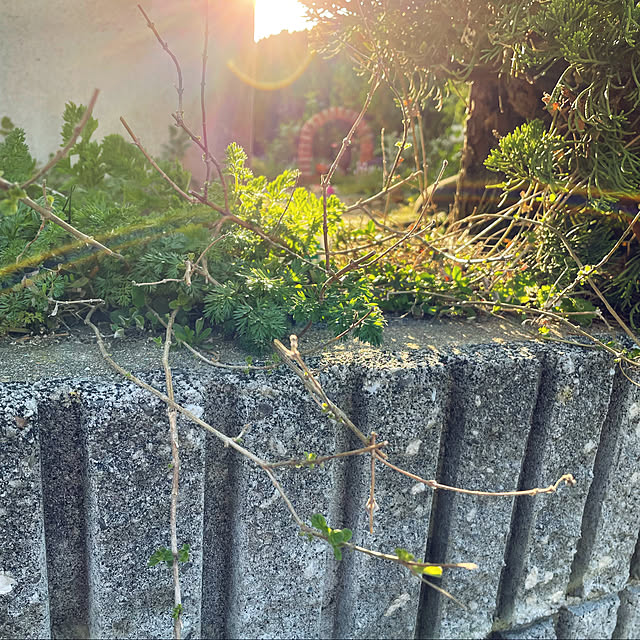 taguさんの実例写真