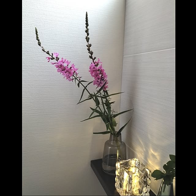coco0.84.さんの実例写真