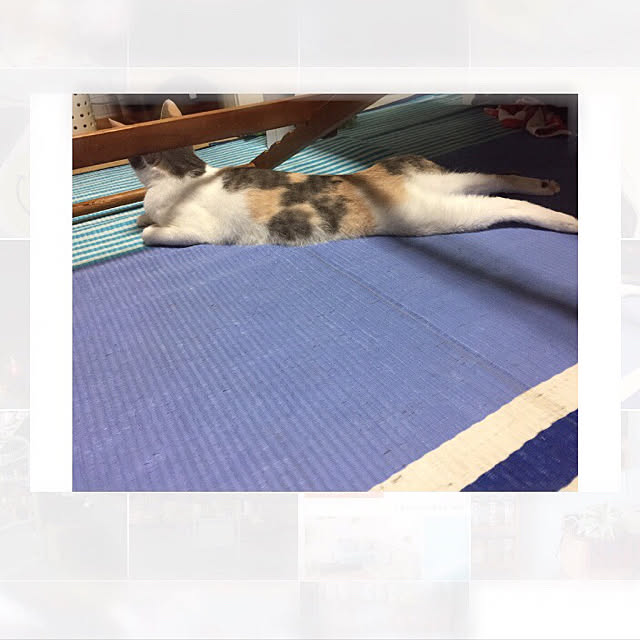 mzuさんの実例写真