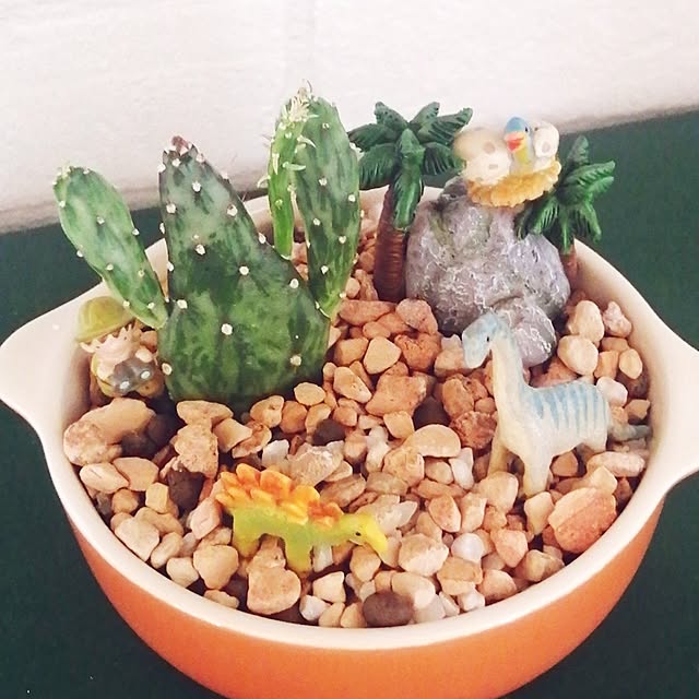 yokkoさんの部屋