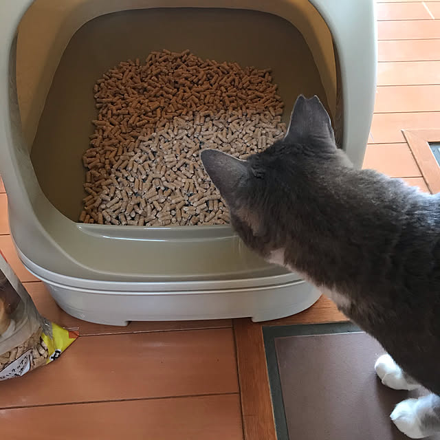 Yokoさんの実例写真