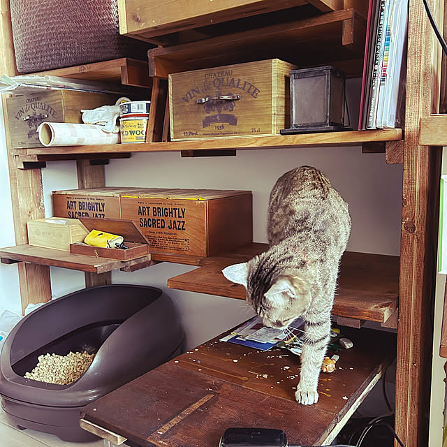 kuusanさんの部屋