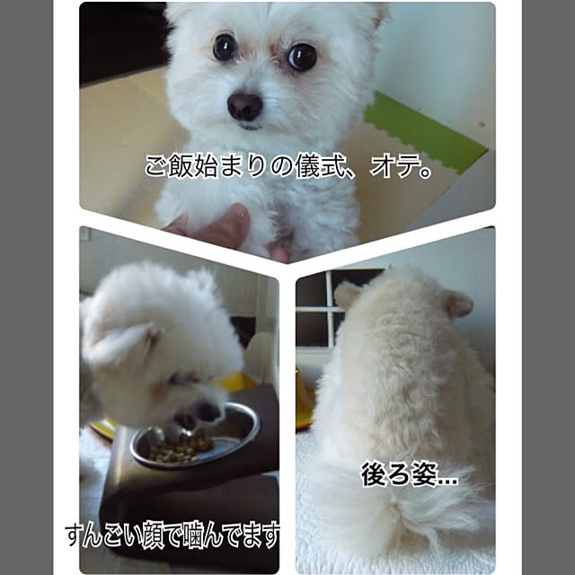 ksyanさんの実例写真