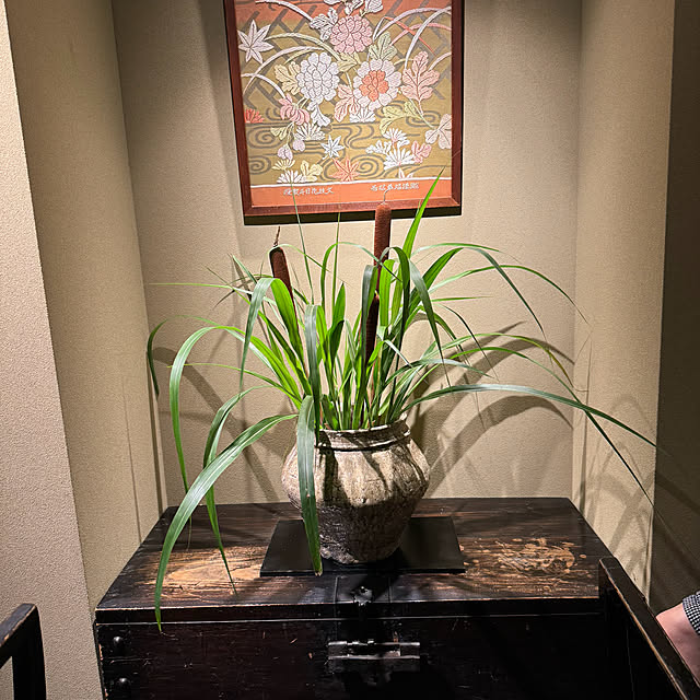 mamizaさんの部屋