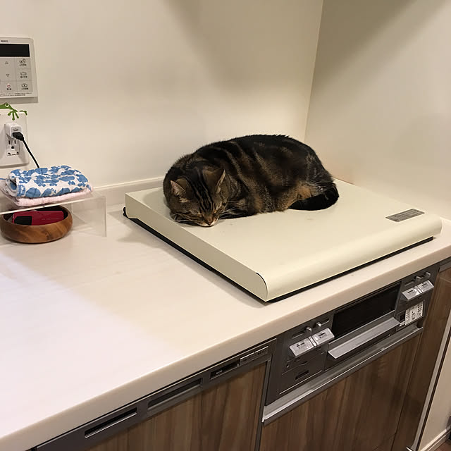 mikomaruさんの実例写真