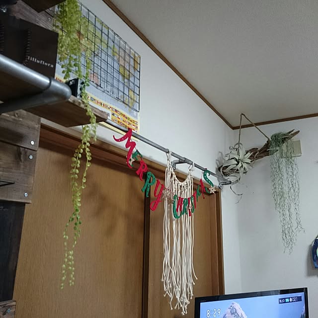 rika-snyさんの実例写真