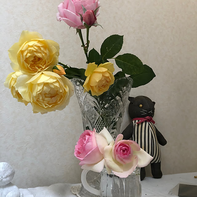 sakuraさんの部屋