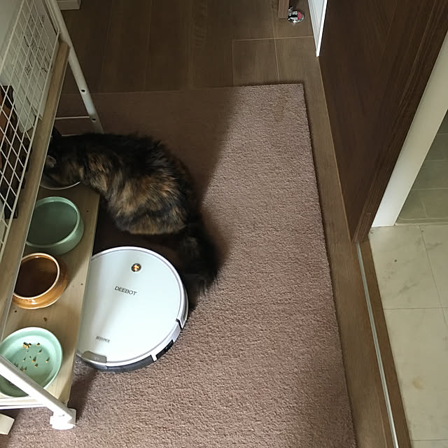 mikomaruさんの実例写真