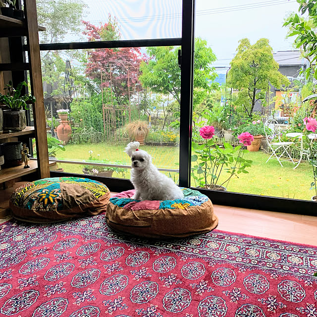 ponyoさんの実例写真
