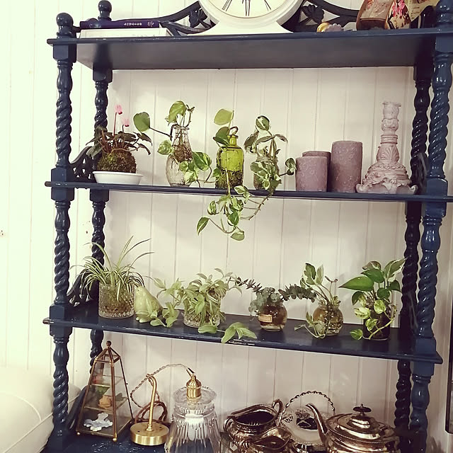 観葉植物/水培植物/部屋全体のインテリア実例 - 2020-11-08 18:18:52
