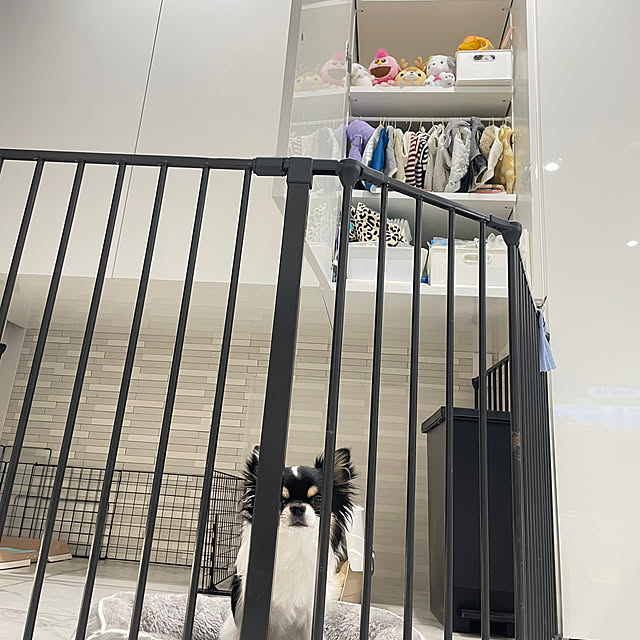 soylatteさんの部屋