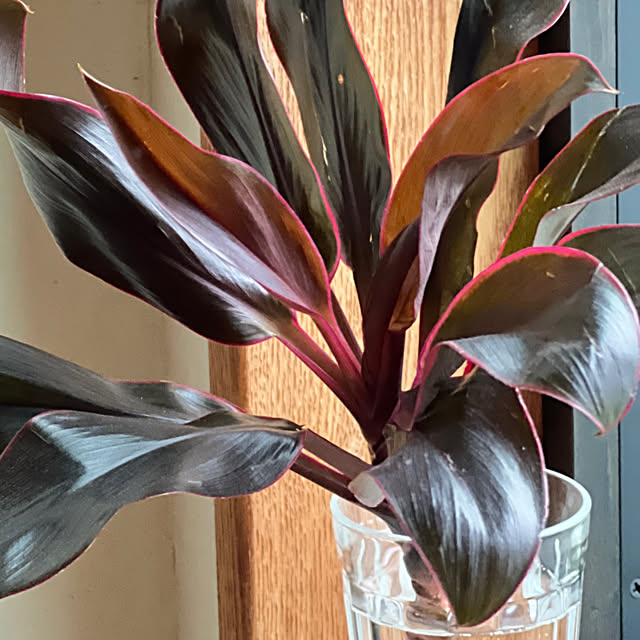 Kikko.さんの部屋